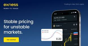 Comprehensive Exness Information for Traders and Investors 1 Comprehensive Exness Information for Traders and Investors 1